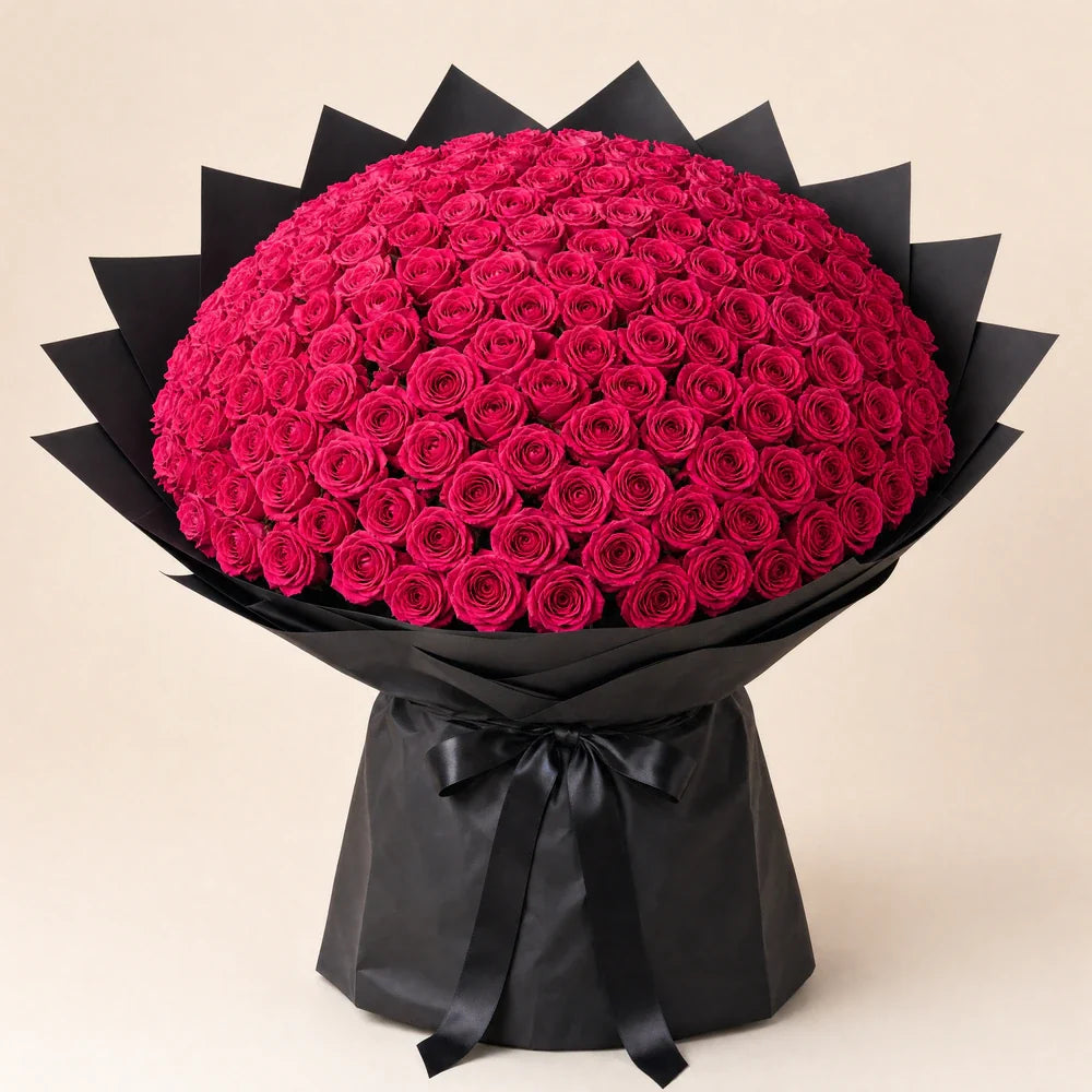 Hot Pink Roses — 200 roses